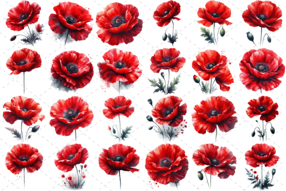 Download Poppify Watercolor Red Poppy Bundle - Premium Resources